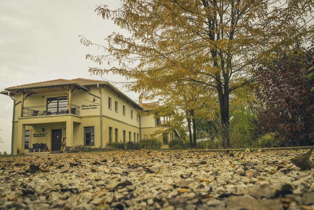 Diva Kacica Restaurant & Pansion Hotel Révkomárom Kültér fotó